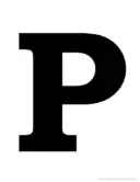 Platform logo